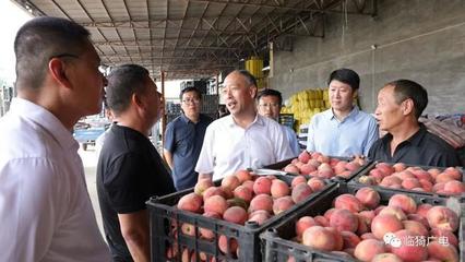 靳國全在牛杜鎮(zhèn)調(diào)研農(nóng)機裝備發(fā)展及果品購銷工作