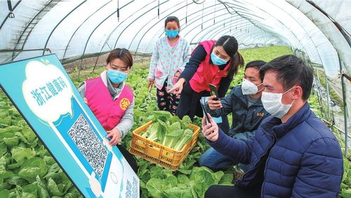 安裝 健康碼 助力農產品銷售