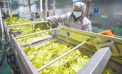 人們越來越推崇環保、低碳、健康、安全的消費理念綠色消費多起來(消費視窗)