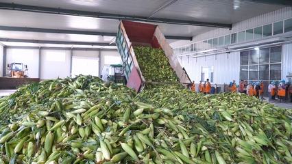 縣域商業(yè)體系建設(shè)項(xiàng)目 實(shí)現(xiàn)“工業(yè)品下鄉(xiāng) 農(nóng)產(chǎn)品進(jìn)城”