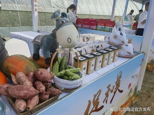 豐收 畫(huà)面極度舒適