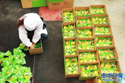 彭水農產品加工企業趕制訂單忙