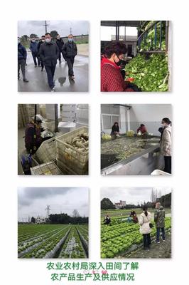 堅決打贏疫情防控攻堅戰,郫都農林在行動