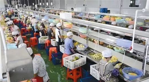 扎心了!誰說農(nóng)產(chǎn)品深加工只能做吃喝?日本已經(jīng)“玩出花”了!