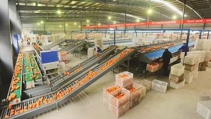 2019年發展農產品加工,可以申報的補貼有哪些?