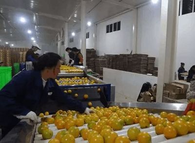 如何保證產(chǎn)品品質(zhì)的一致性?把農(nóng)產(chǎn)品打造成為工業(yè)化商品